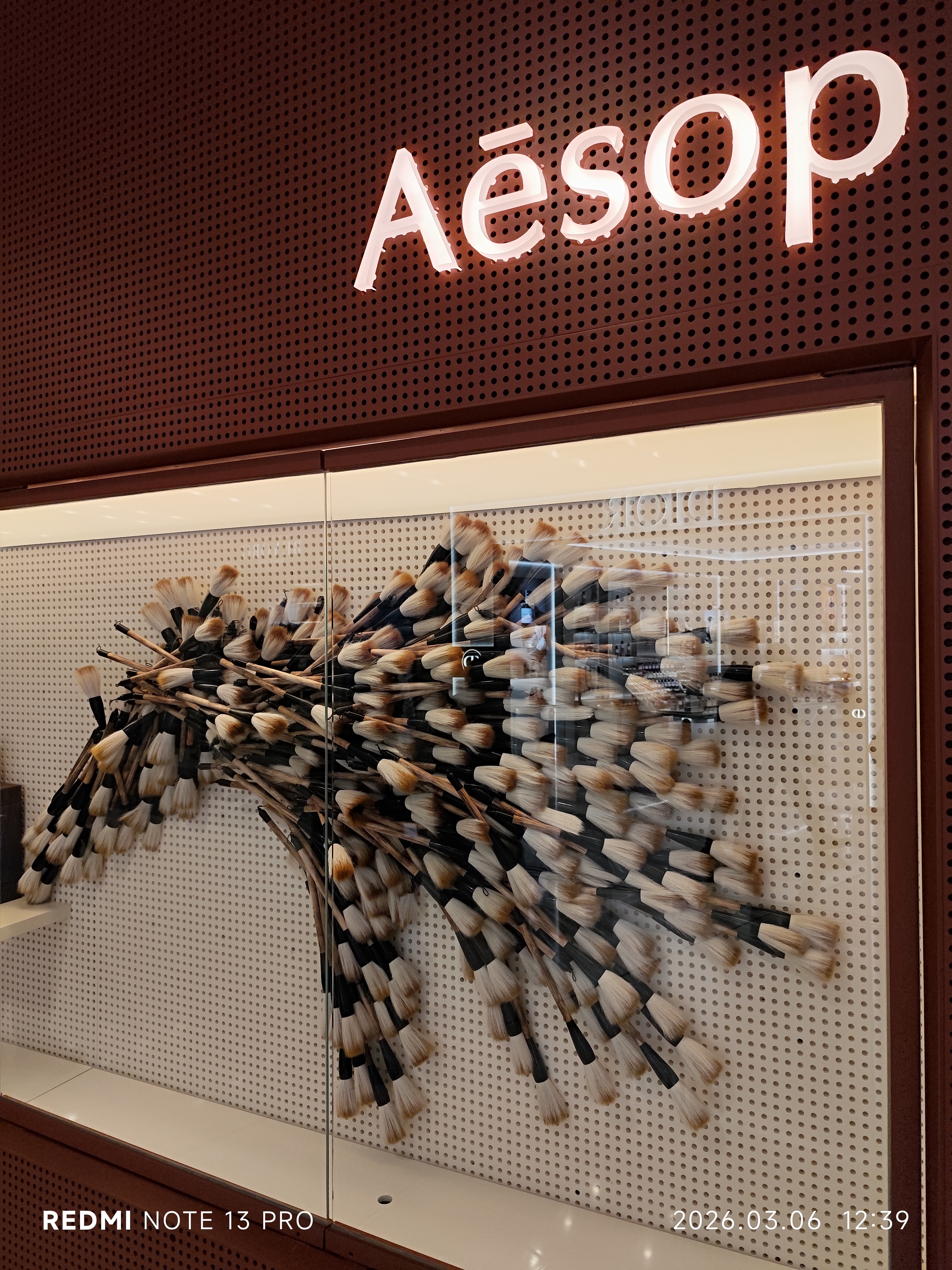 Aesop门店设计——视图2