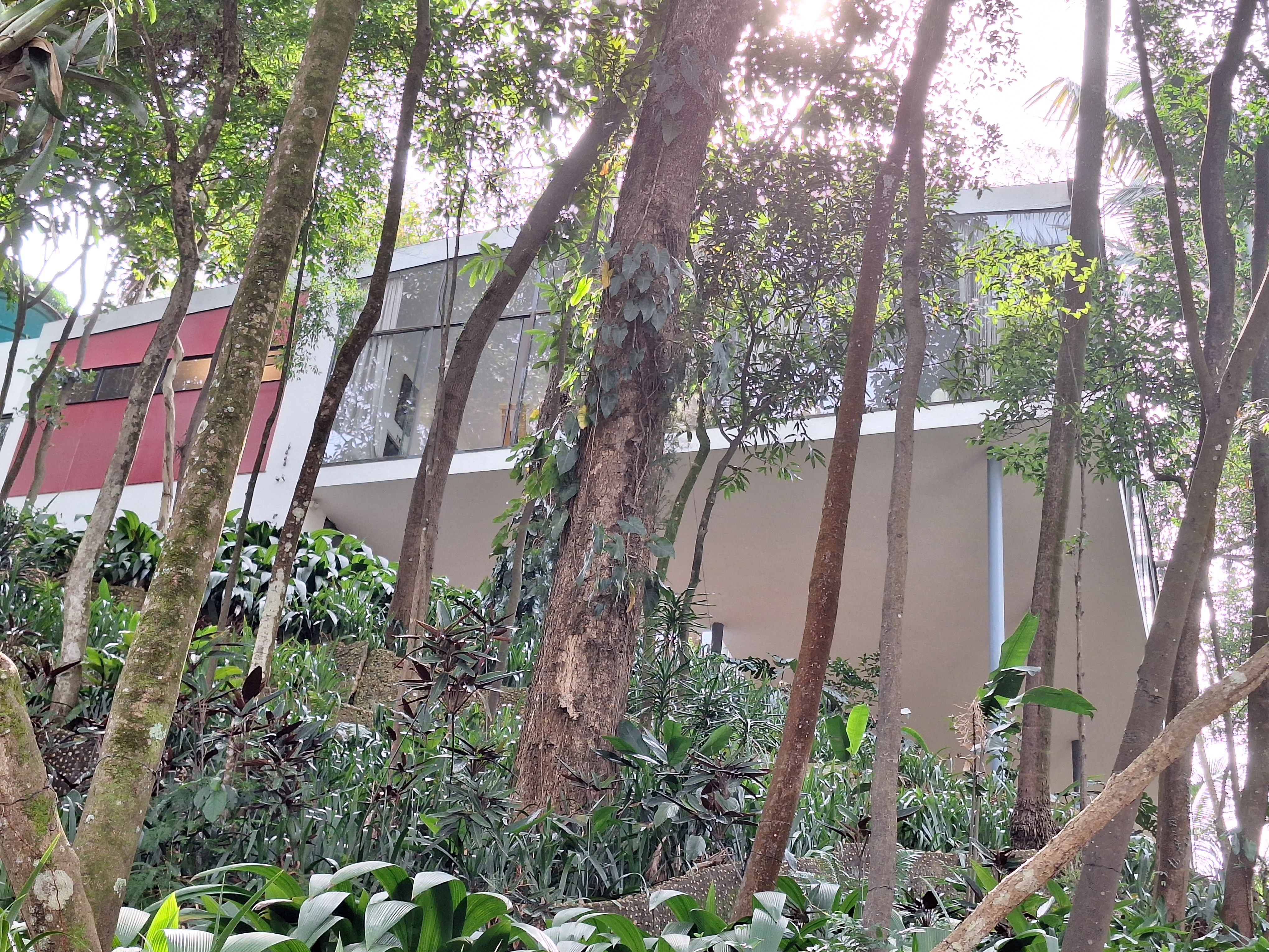 Casa de Vidro——花园视角