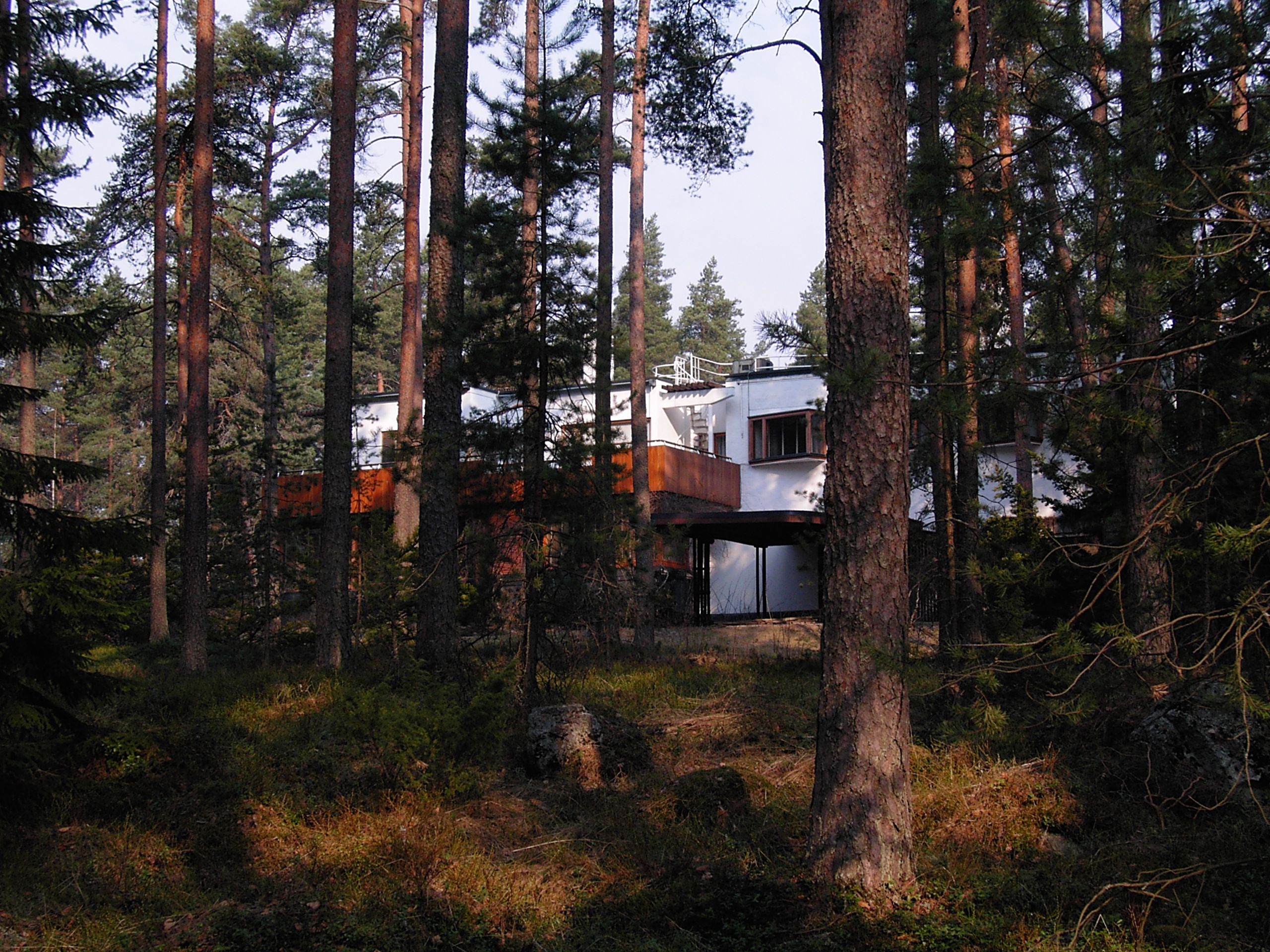 Villa Mairea——林中全景